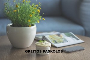 Greitos paskolos